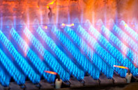 Winsham gas fired boilers